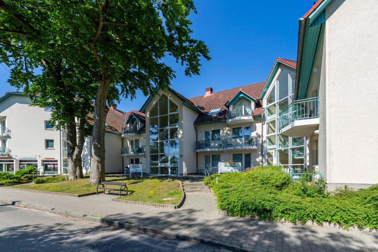 Apartment Ostseerose Ein Strandkorb Ist Im Sommer Inclusive ツェンピン エクステリア 写真