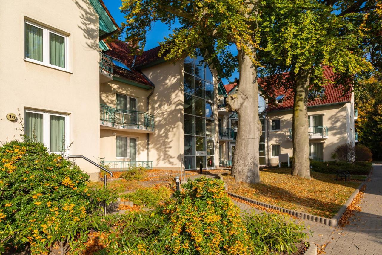Apartment Ostseerose Ein Strandkorb Ist Im Sommer Inclusive ツェンピン エクステリア 写真