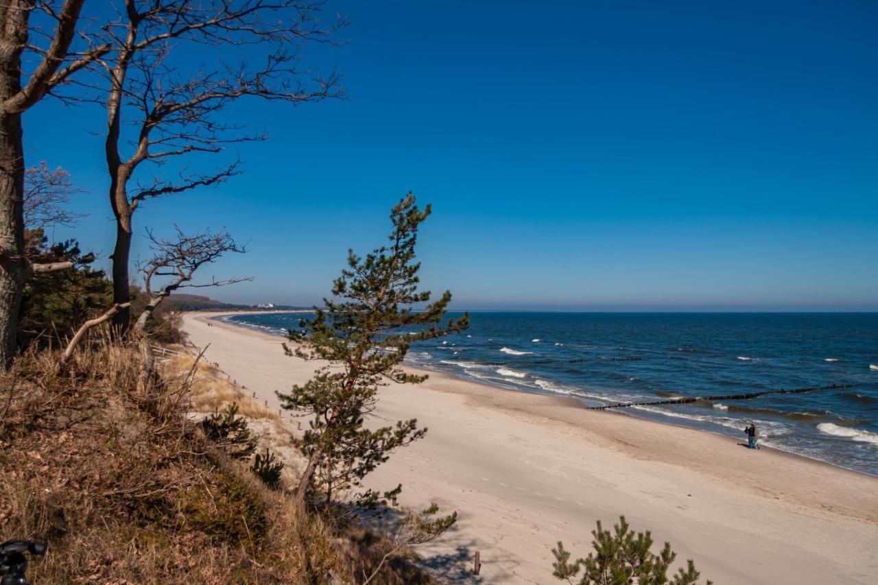 Apartment Ostseerose Ein Strandkorb Ist Im Sommer Inclusive ツェンピン エクステリア 写真